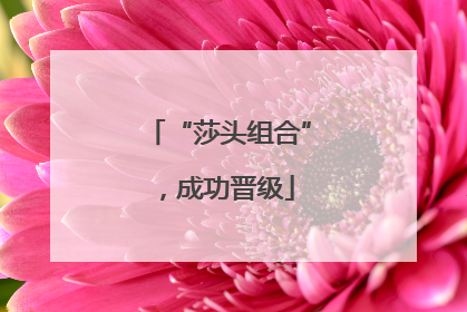 “莎头组合”，成功晋级