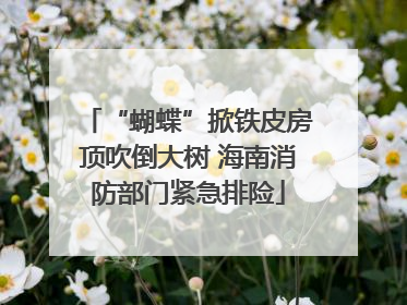 “蝴蝶”掀铁皮房顶吹倒大树 海南消防部门紧急排险