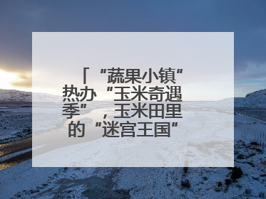 “蔬果小镇”热办“玉米奇遇季”，玉米田里的“迷宫王国”等您来探索