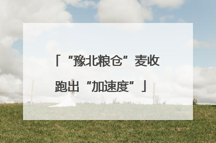 “豫北粮仓”麦收跑出“加速度”