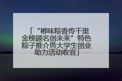 “郴味粽香传千里 金榜题名创未来”特色粽子推介暨大学生创业助力活动收官