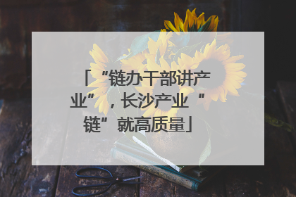 “链办干部讲产业”，长沙产业“链”就高质量