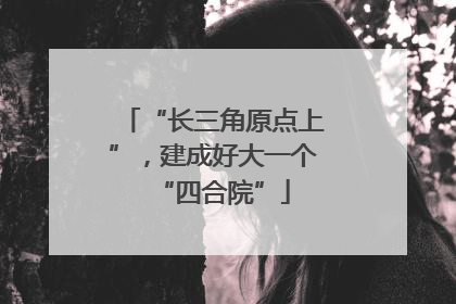 “长三角原点上”，建成好大一个“四合院”