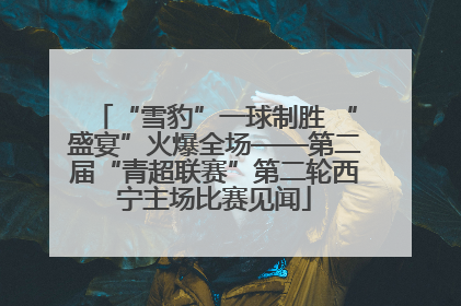 “雪豹”一球制胜 “盛宴”火爆全场——第二届“青超联赛”第二轮西宁主场比赛见闻
