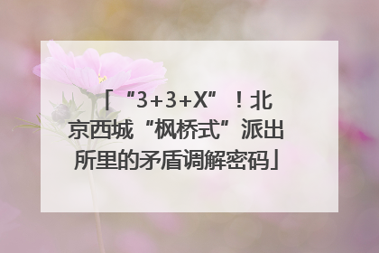 “3+3+X”！北京西城“枫桥式”派出所里的矛盾调解密码
