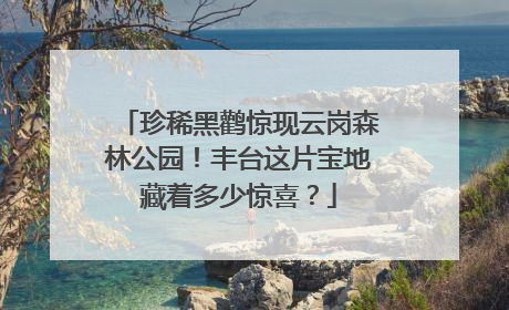 珍稀黑鹳惊现云岗森林公园！丰台这片宝地藏着多少惊喜？