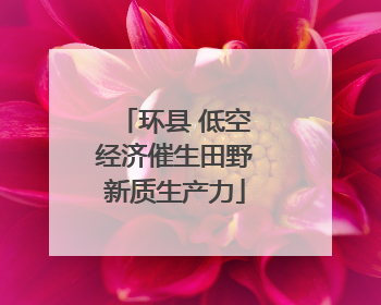 环县 低空经济催生田野新质生产力