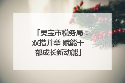 灵宝市税务局：双措并举 赋能干部成长新动能