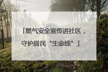 燃气安全宣传进社区，守护居民“生命线”