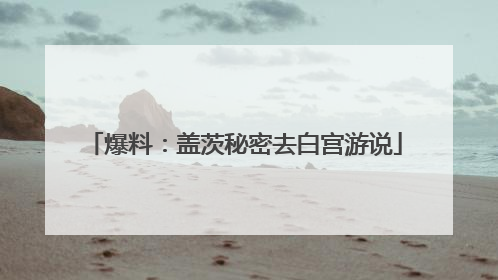 爆料：盖茨秘密去白宫游说