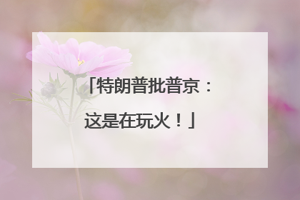 特朗普批普京：这是在玩火！