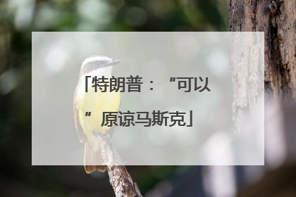 特朗普：“可以”原谅马斯克