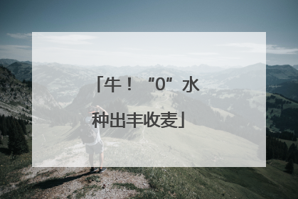 牛！“0”水种出丰收麦