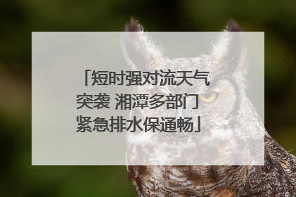 短时强对流天气突袭 湘潭多部门紧急排水保通畅