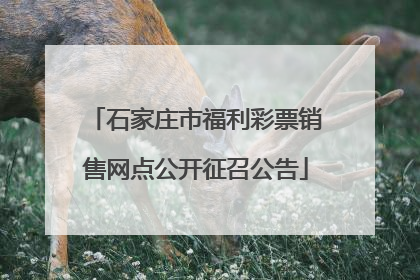 石家庄市福利彩票销售网点公开征召公告