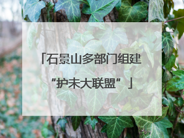 石景山多部门组建“护未大联盟”