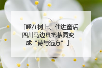 睡在树上、住进童话 四川马边县把茶园变成“诗与远方”