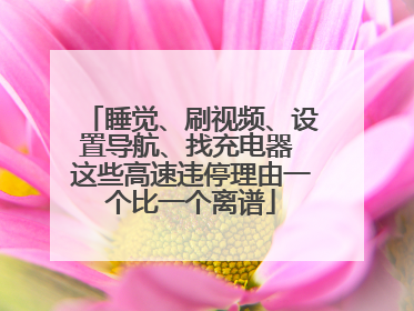睡觉、刷视频、设置导航、找充电器 这些高速违停理由一个比一个离谱
