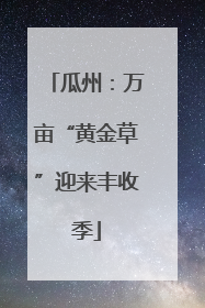 瓜州：万亩“黄金草”迎来丰收季