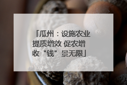 瓜州：设施农业提质增效 促农增收“钱”景无限