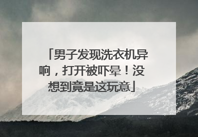 男子发现洗衣机异响，打开被吓晕！没想到竟是这玩意