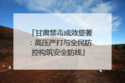 甘肃禁毒成效显著：高压严打与全民防控构筑安全防线