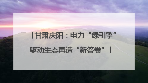 甘肃庆阳：电力“绿引擎” 驱动生态再造“新答卷”