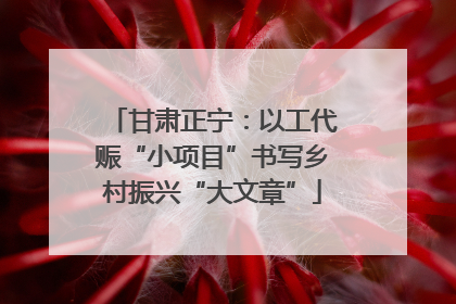 甘肃正宁：以工代赈“小项目”书写乡村振兴“大文章”