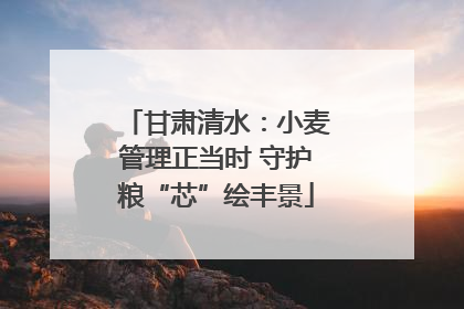 甘肃清水：小麦管理正当时 守护粮“芯”绘丰景