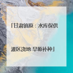 甘肃镇原：水库保供 灌区浇地 旱塬补种