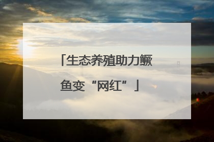 生态养殖助力鳜鱼变“网红”