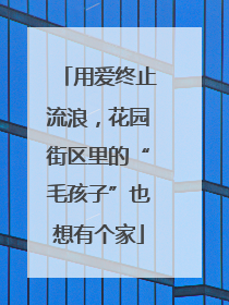 用爱终止流浪，花园街区里的“毛孩子”也想有个家