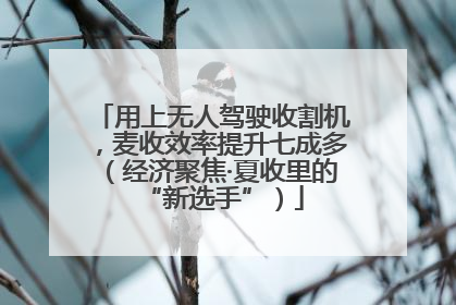 用上无人驾驶收割机，麦收效率提升七成多（经济聚焦·夏收里的“新选手”）