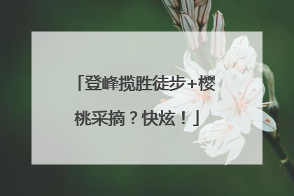 登峰揽胜徒步+樱桃采摘？快炫！