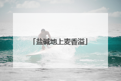 盐碱地上麦香溢