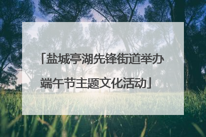 盐城亭湖先锋街道举办端午节主题文化活动
