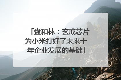盘和林：玄戒芯片为小米打好了未来十年企业发展的基础