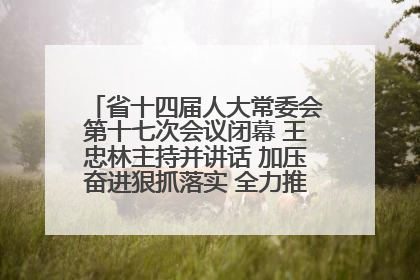 省十四届人大常委会第十七次会议闭幕 王忠林主持并讲话 加压奋进狠抓落实 全力推动支点建设成势见效