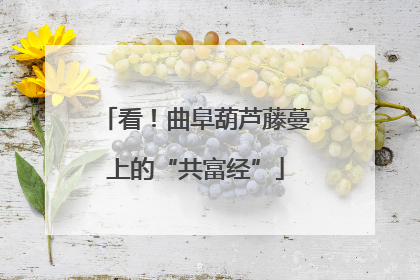 看！曲阜葫芦藤蔓上的“共富经”