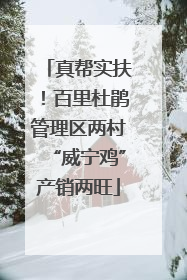 真帮实扶！百里杜鹃管理区两村“威宁鸡”产销两旺