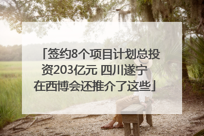签约8个项目计划总投资203亿元 四川遂宁在西博会还推介了这些