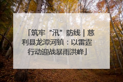 筑牢“汛”防线｜慈利县龙潭河镇：以雷霆行动迎战暴雨洪峰