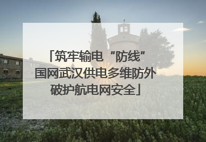 筑牢输电“防线” 国网武汉供电多维防外破护航电网安全