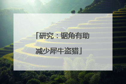 研究：锯角有助减少犀牛盗猎