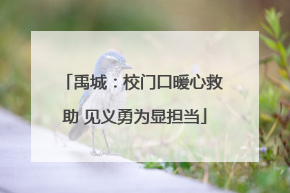 禹城：校门口暖心救助 见义勇为显担当