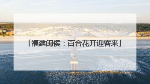福建闽侯：百合花开迎客来