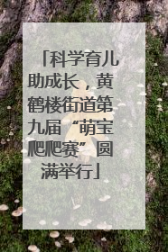 科学育儿助成长，黄鹤楼街道第九届“萌宝爬爬赛”圆满举行