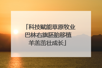 科技赋能草原牧业 巴林右旗胚胎移植羊羔茁壮成长
