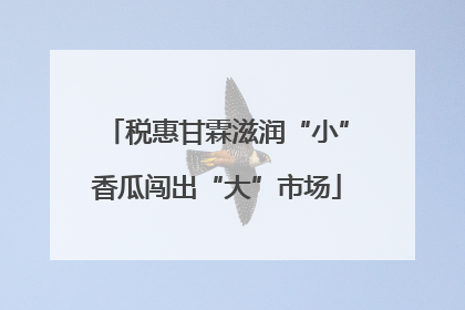 税惠甘霖滋润“小”香瓜闯出“大”市场