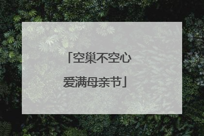 空巢不空心 爱满母亲节